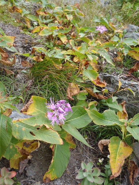 b0326303_09101185.jpg