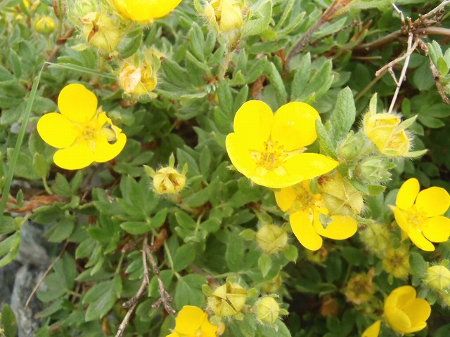 b0326303_09152822.jpg