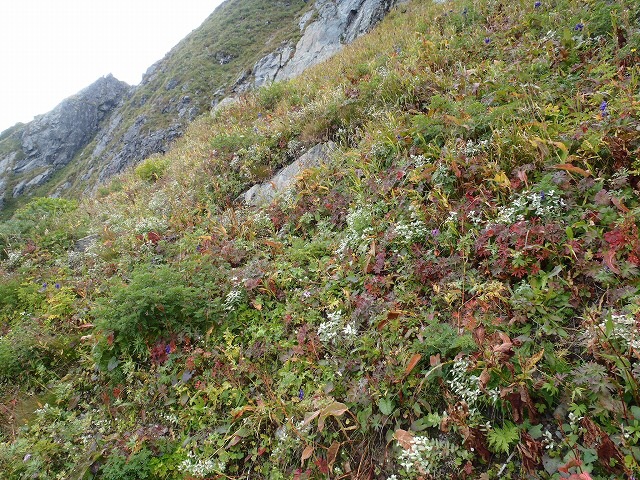 b0326303_09165582.jpg