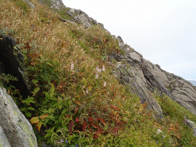 b0326303_09170521.jpg