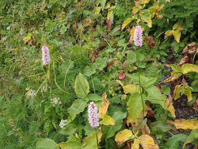 b0326303_09172838.jpg