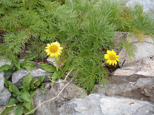 b0326303_09183478.jpg
