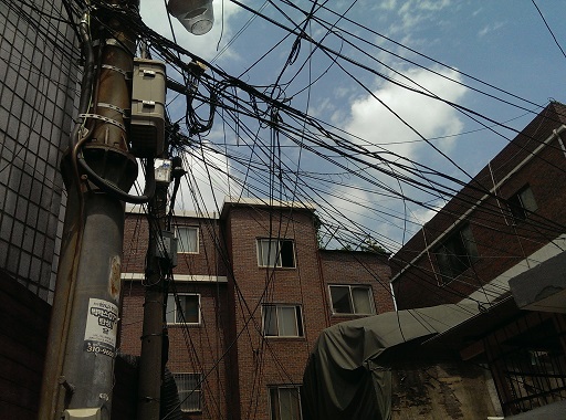 a0140305_2312527.jpg