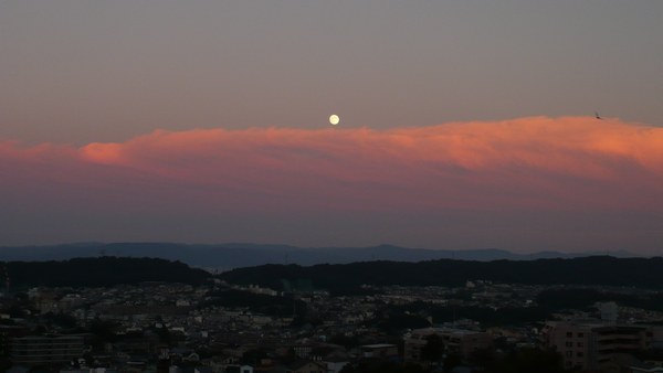 f0221708_1454939.jpg