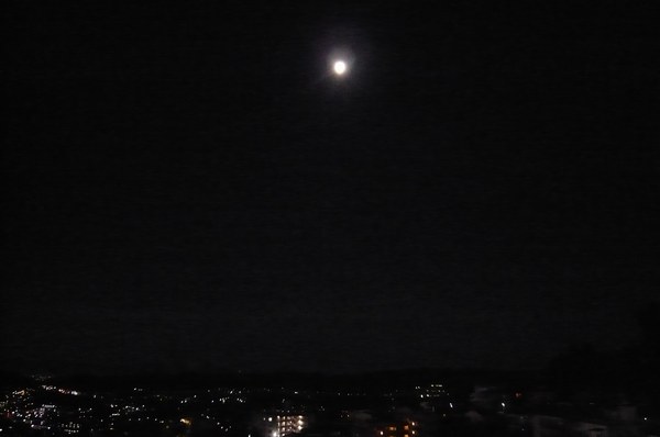 f0221708_1456939.jpg