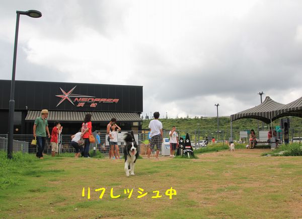 d0224111_22044995.jpg