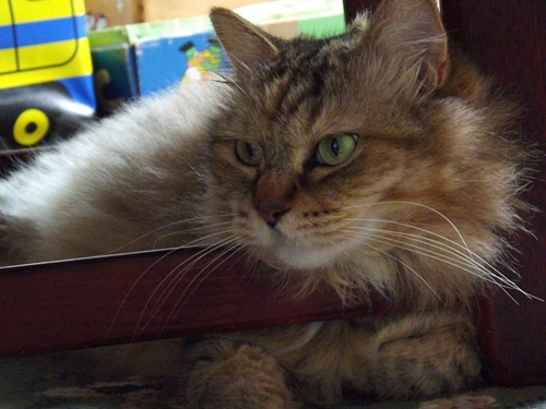 c0158916_2012914.jpg
