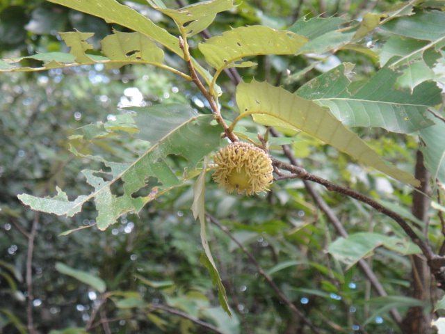 a0239418_14403713.jpg