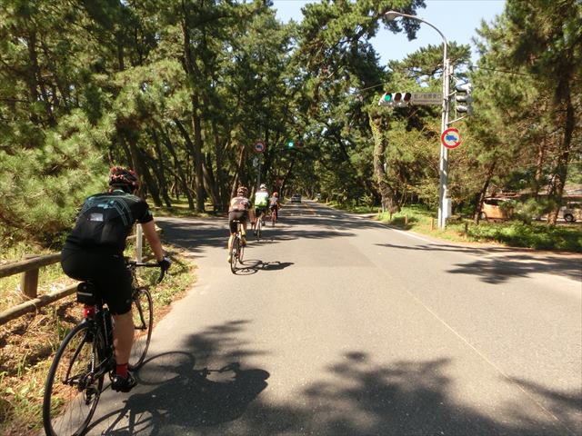 c0238519_20233668.jpg