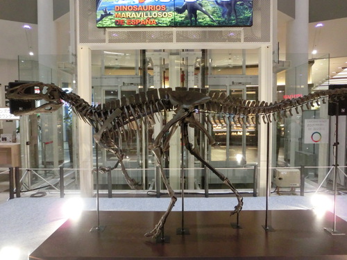 e0179321_2139033.jpg