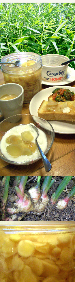 d0043225_21235851.jpg
