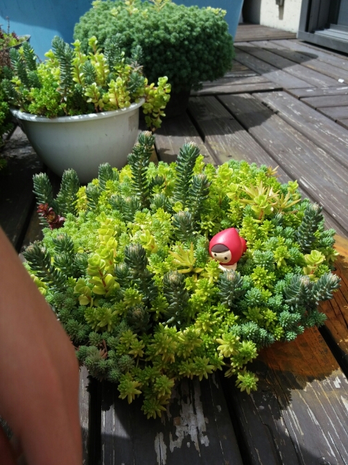 f0277327_13414336.jpg