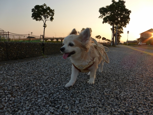 b0138430_14102930.jpg