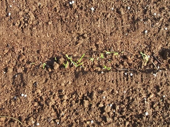 b0137932_13552270.jpg