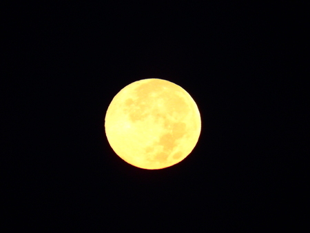 f0118332_13403924.jpg