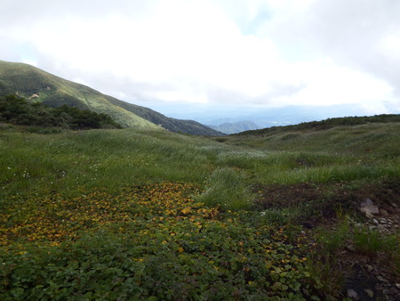 f0118332_16253592.jpg