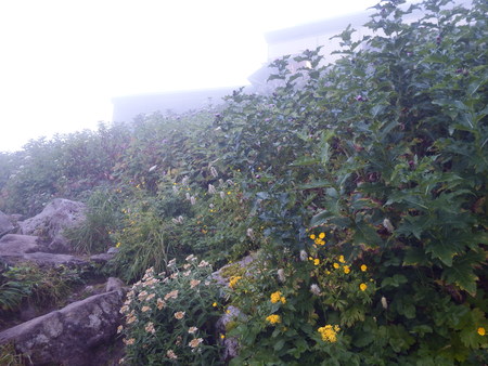 f0118332_2230443.jpg