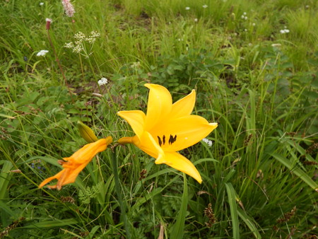 f0118332_22322930.jpg