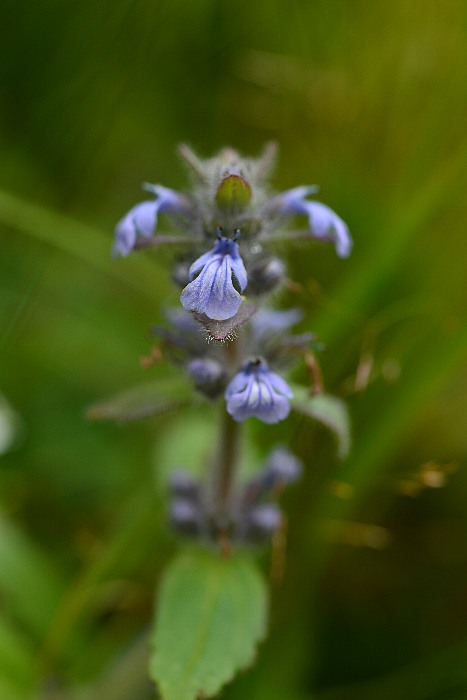 b0236334_14554389.jpg