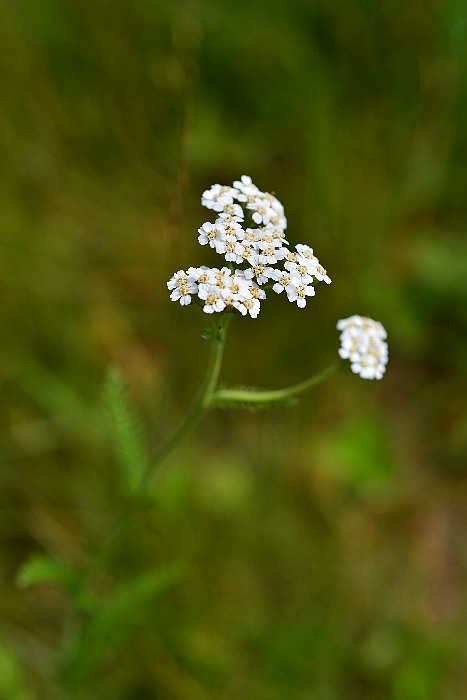 b0236334_14565049.jpg