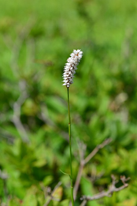 b0236334_14593750.jpg