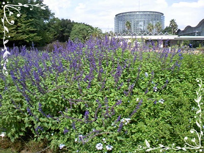 f0034334_16483624.jpg