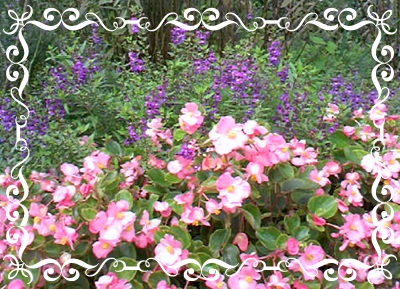 f0034334_16555320.jpg