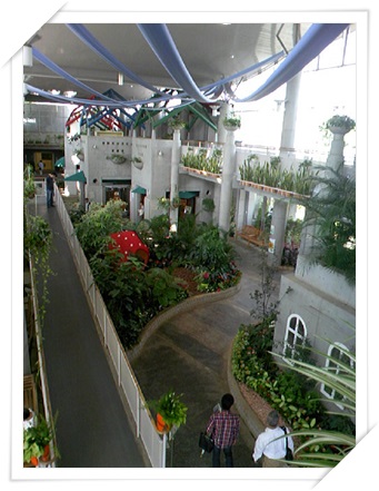 f0034334_17315999.jpg