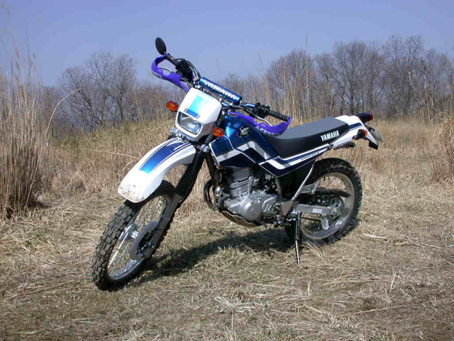 a0143839_0384244.jpg