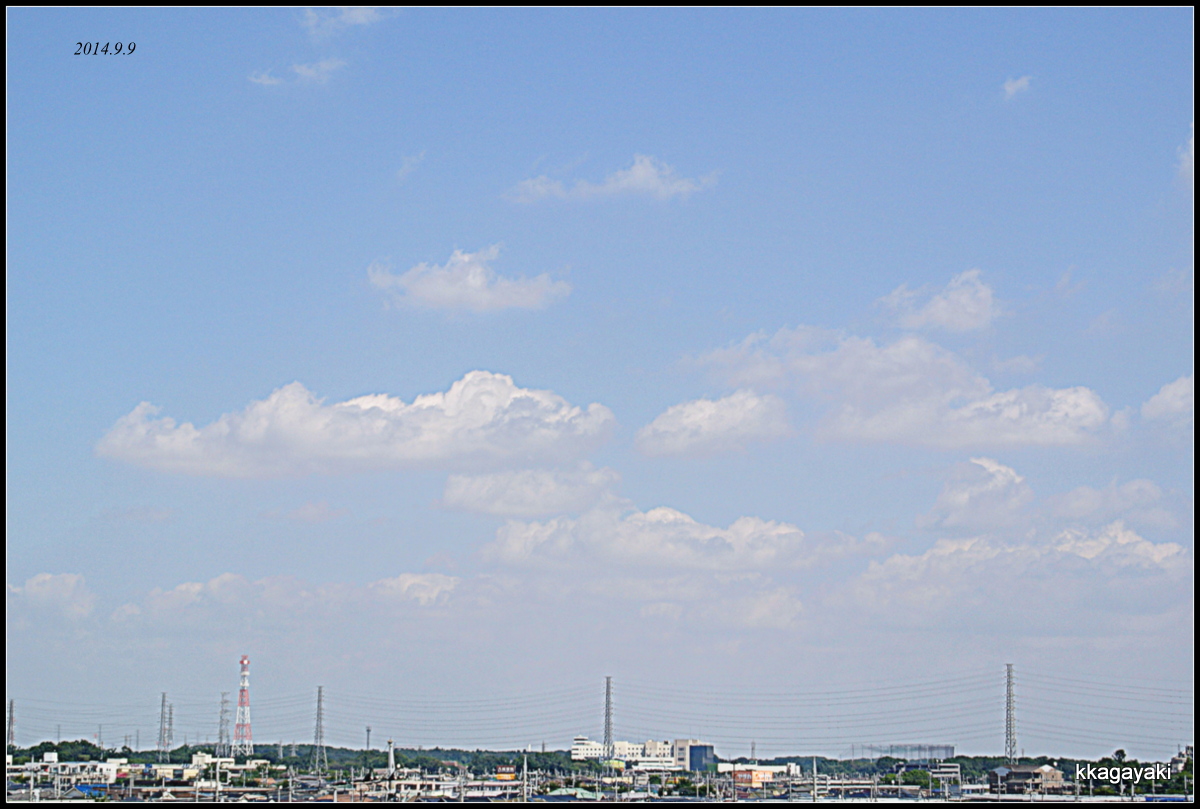 e0206242_1651727.jpg
