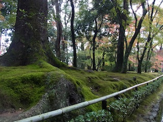 e0138350_20552857.jpg