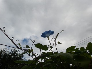 e0004756_20263562.jpg