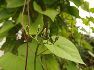 e0004756_20265723.jpg