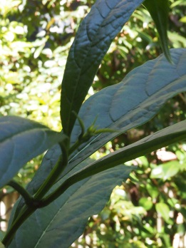 b0246758_20430010.jpg