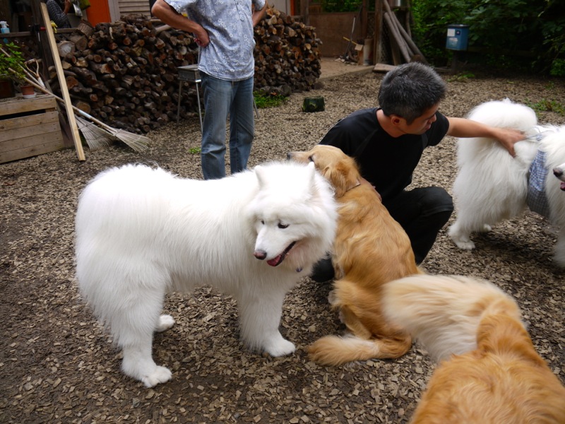f0171559_20101429.jpg