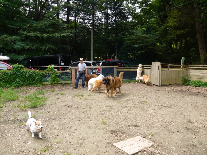 f0171559_201978.jpg