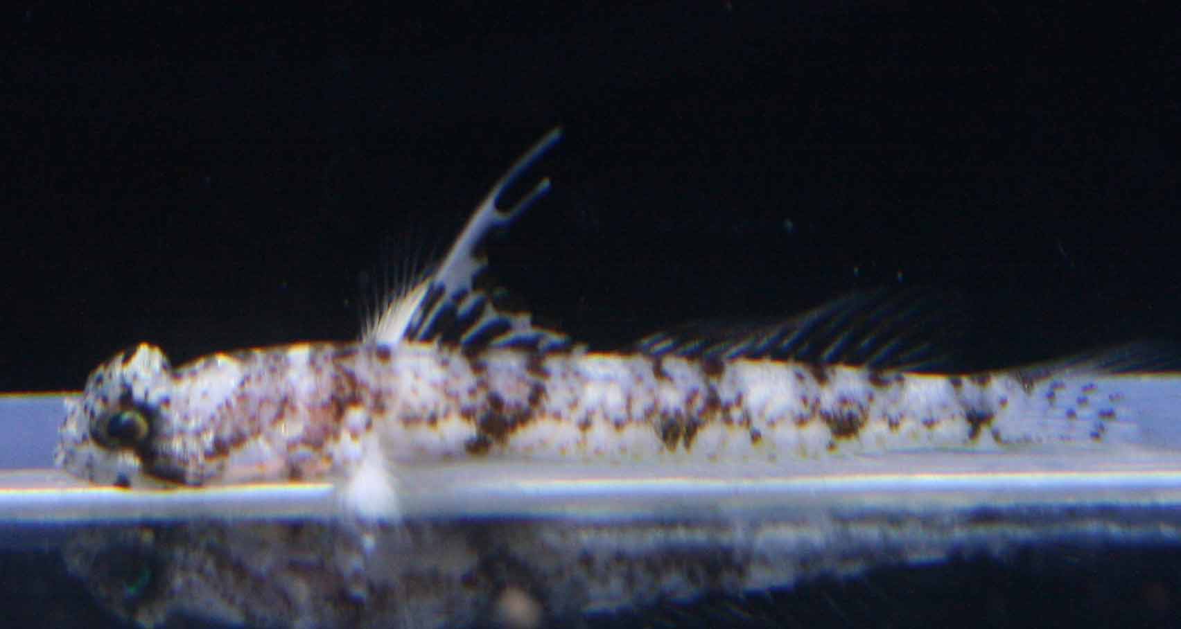 a0162261_1932173.jpg
