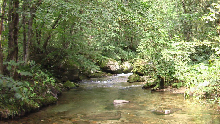 b0208961_17514023.jpg