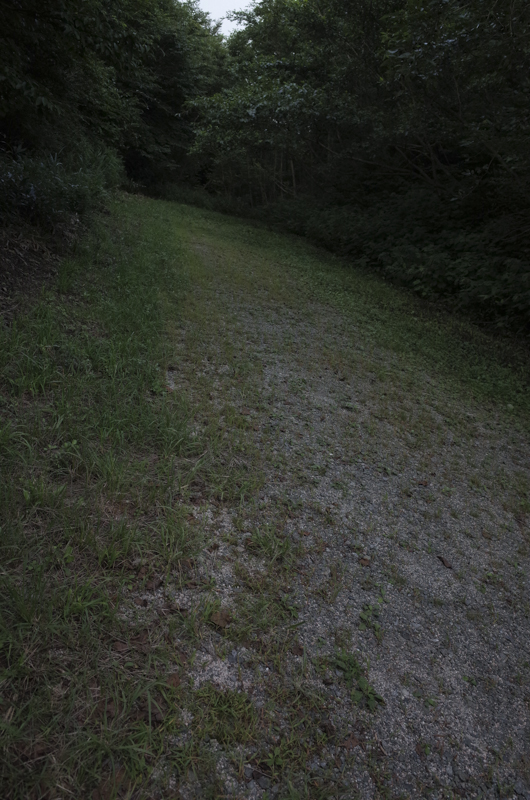 b0122664_19563774.jpg