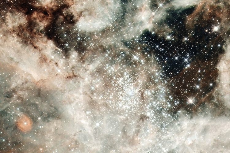 c0217364_2251145.jpg
