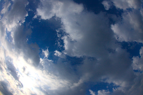 a0157069_12525548.jpg