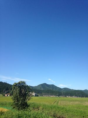 e0333569_082491.jpg