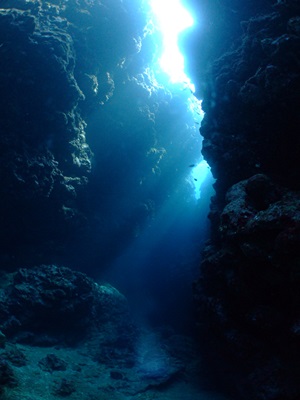 b0033573_19022406.jpg