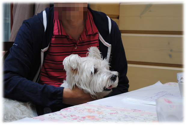 b0242873_22215851.png