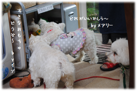 b0242873_22423155.png