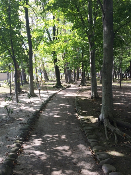 c0283778_18205796.jpg