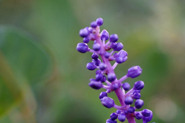 b0057679_93757.jpg