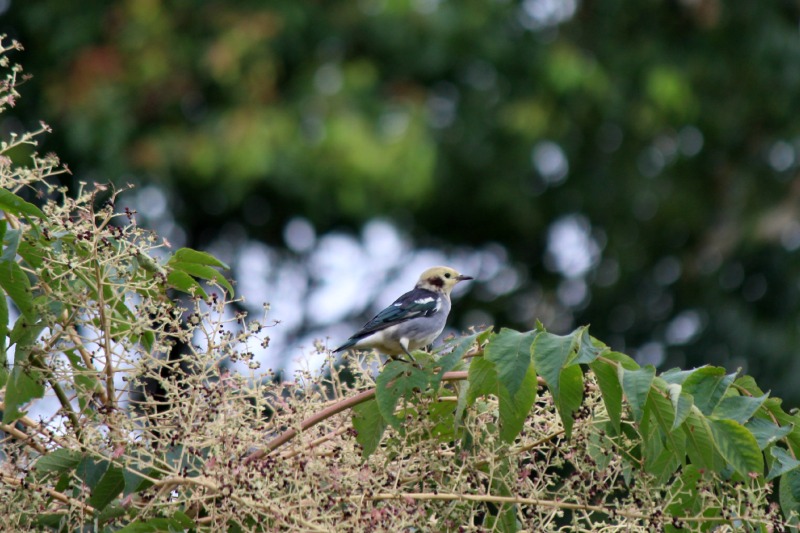 a0127090_2221459.jpg