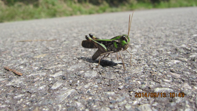 c0133096_21020713.jpg