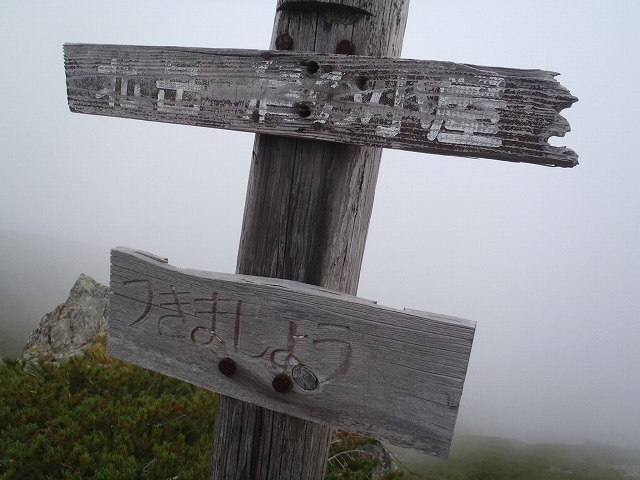 b0326303_22214442.jpg